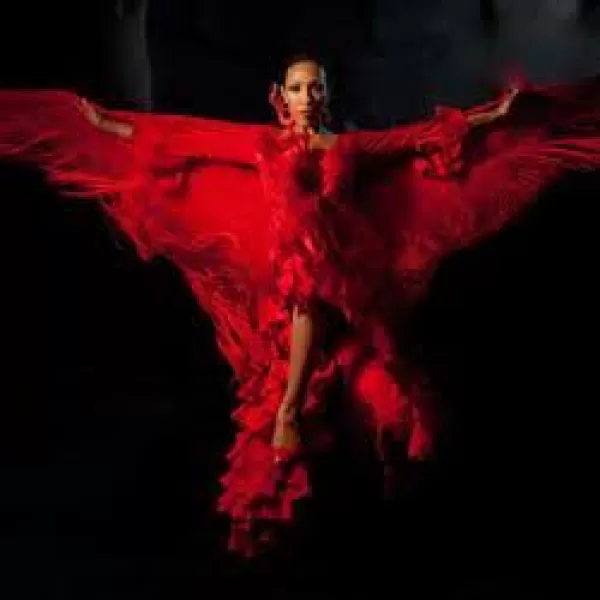 Noche de Flamenco