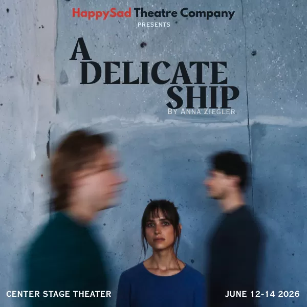 A Delicate Ship by Anna Ziegler